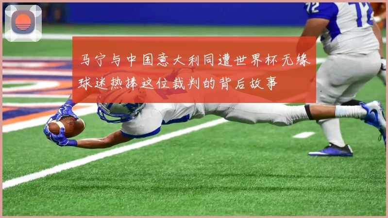 马宁与中国意大利同遭世界杯无缘球迷热捧这位裁判的背后故事