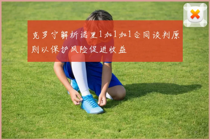 克罗宁解析诺里1加1加1合同谈判原则以保护风险促进收益